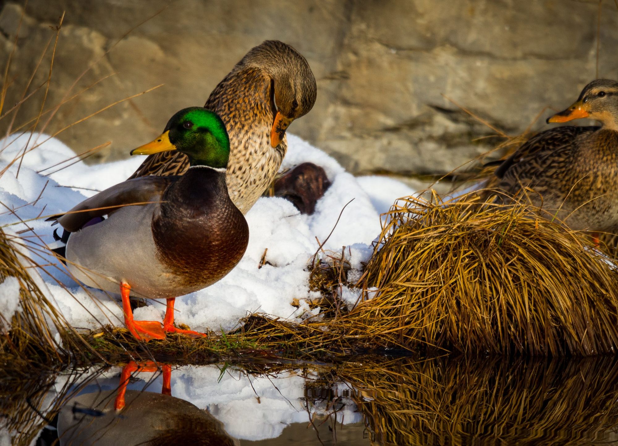 Spring is here feature: Eric Hilbrecht