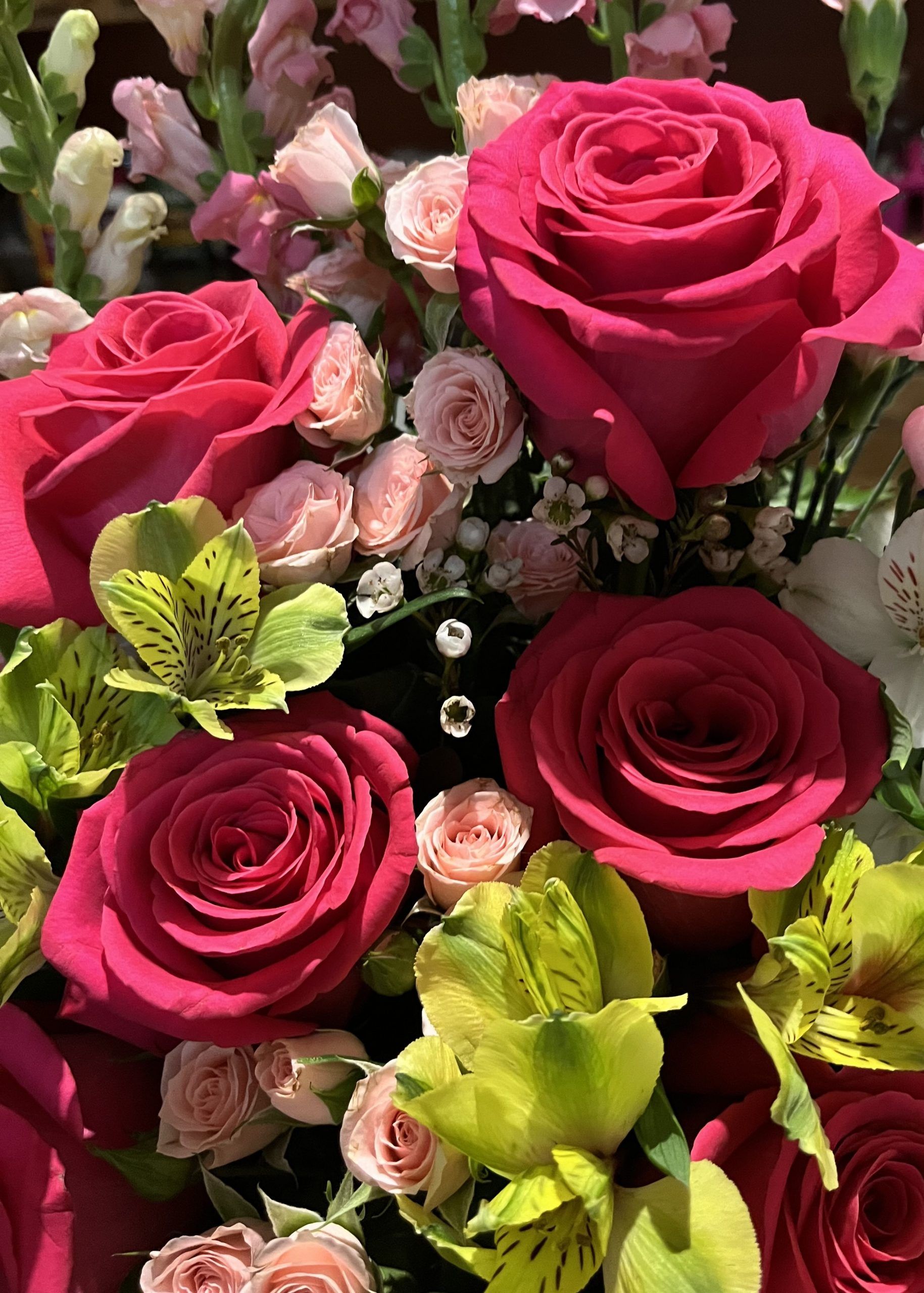 Colours of Love feature: Charlotte Dover