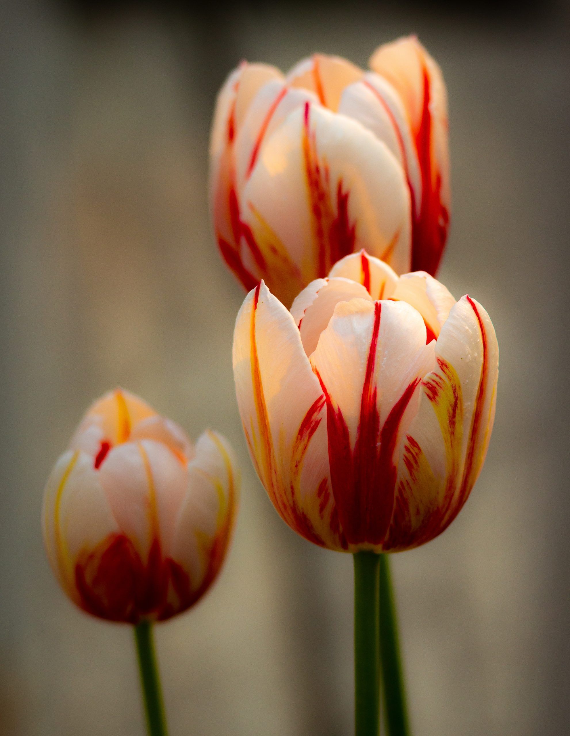 Colours of Love feature: Eric Hilbrecht
