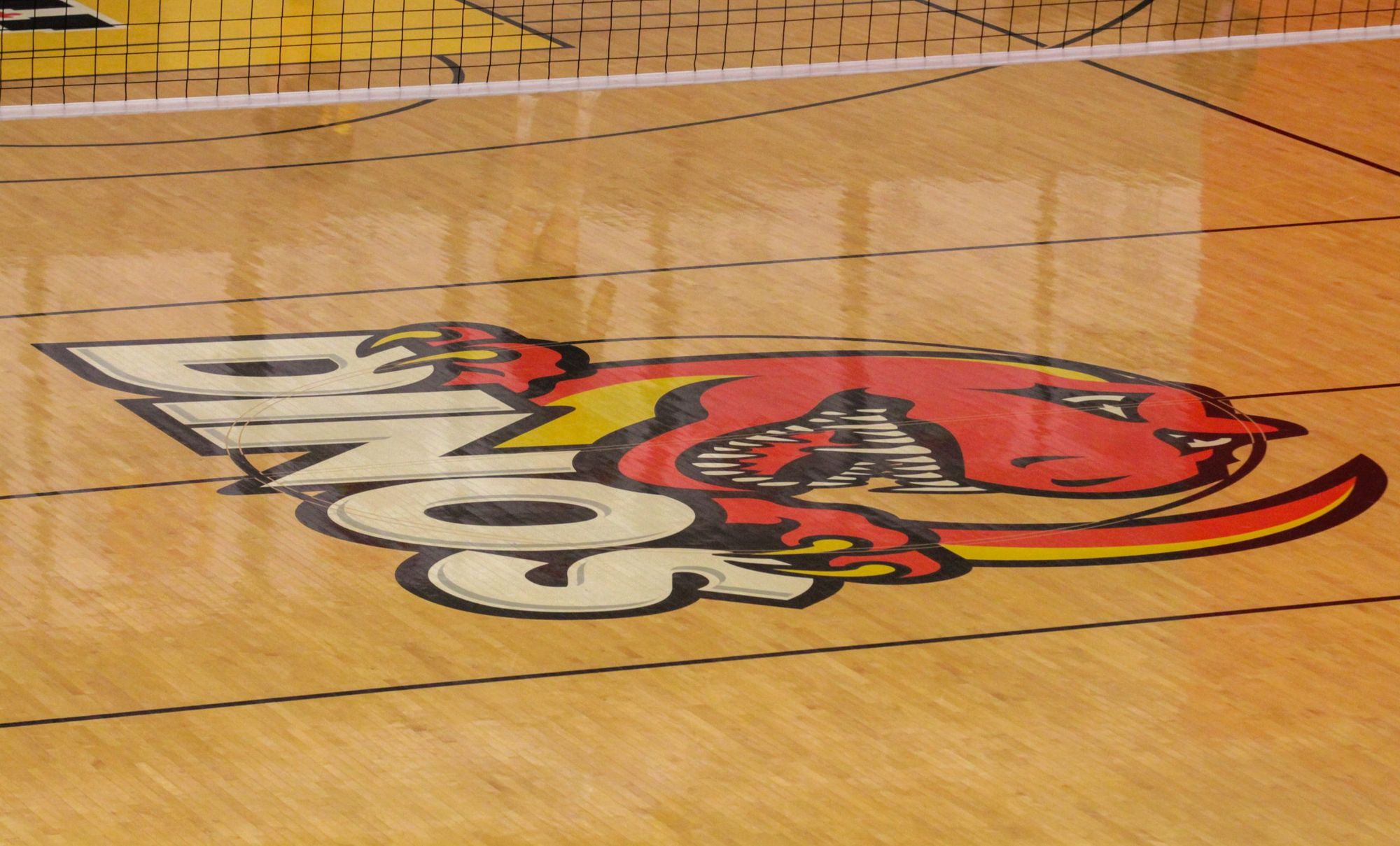 Weekend of wins: The Dinos swept through the competition