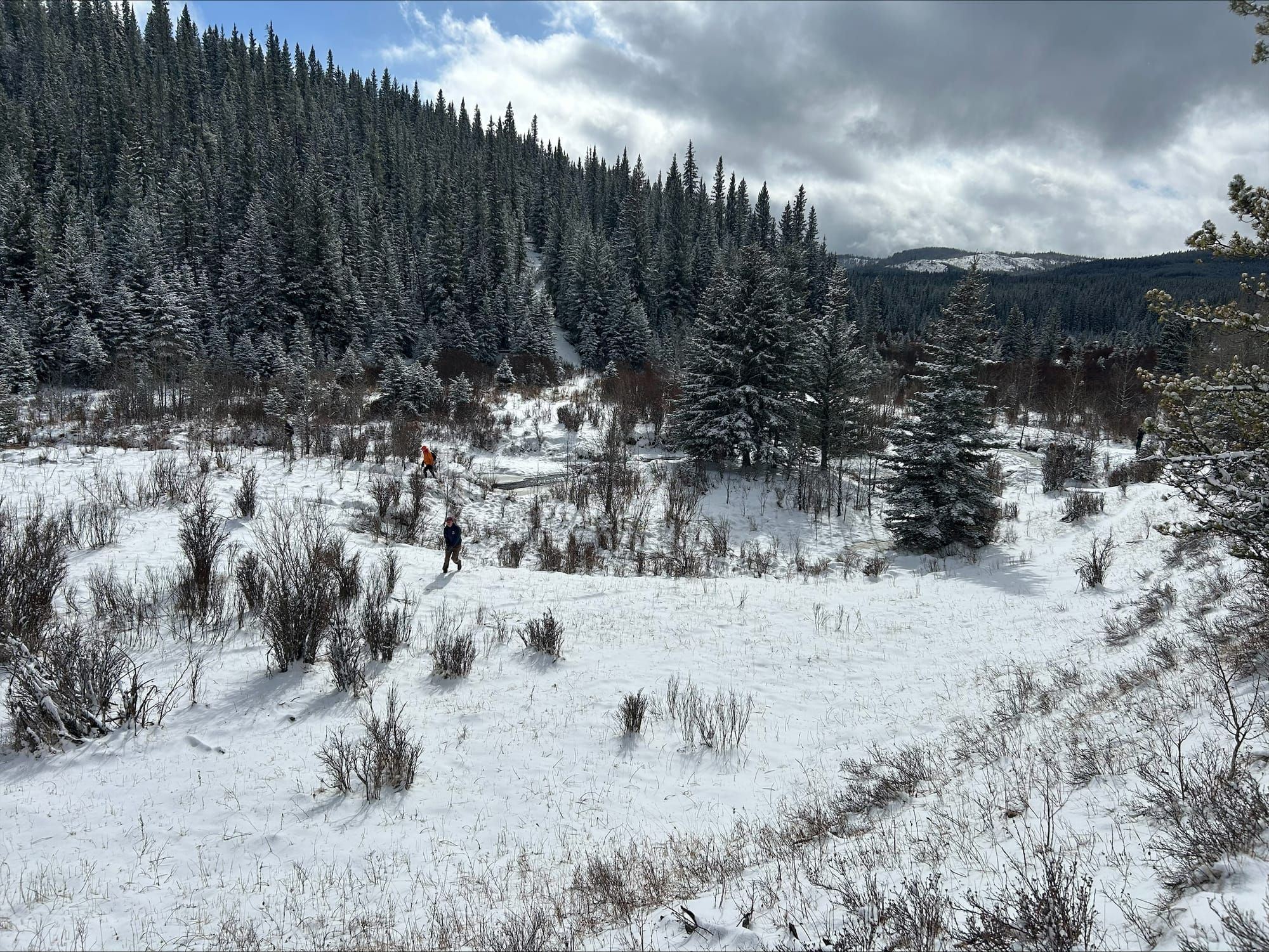 Fish and Wildlife Club offers educational outdoor experience