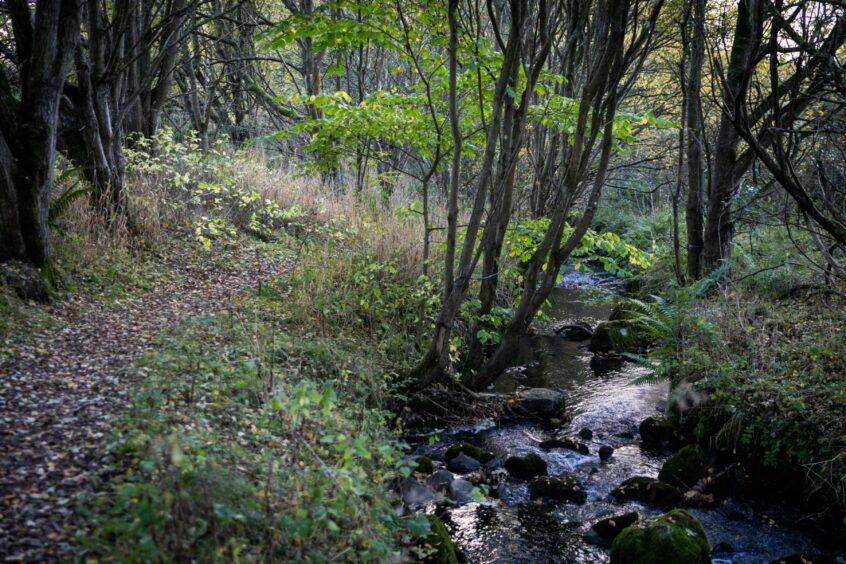 Friends of Gillingshill