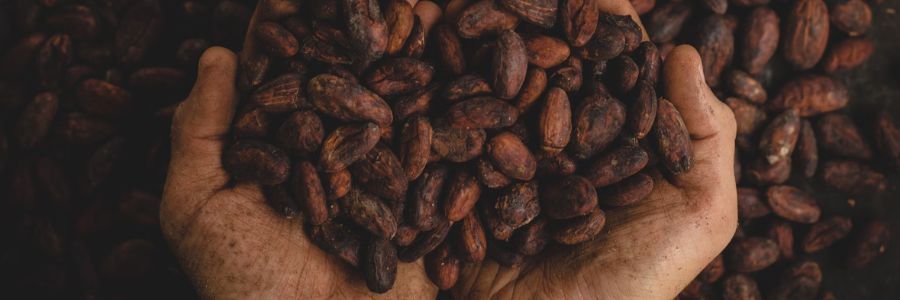 Chocolate has its origins in ancient Maya