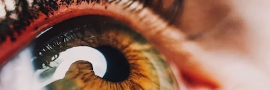 How EMDR therapy works