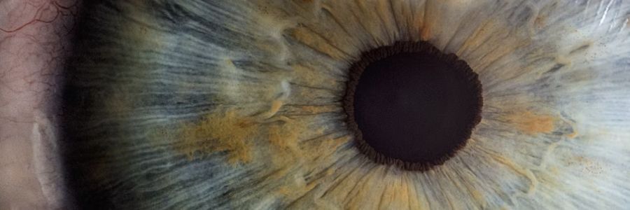 What is EMDR therapy?