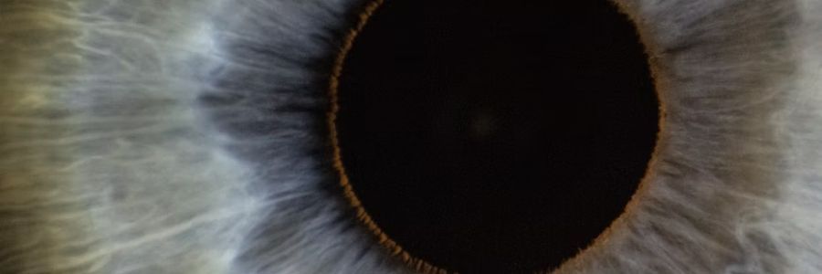 How EMDR therapy works