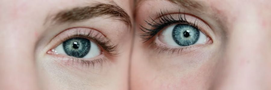 What are the first rank symptoms of Schizoprehnia?