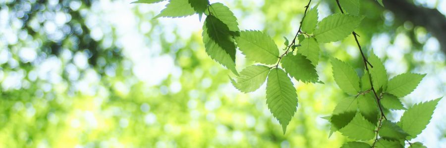 Support for different types of anxiety