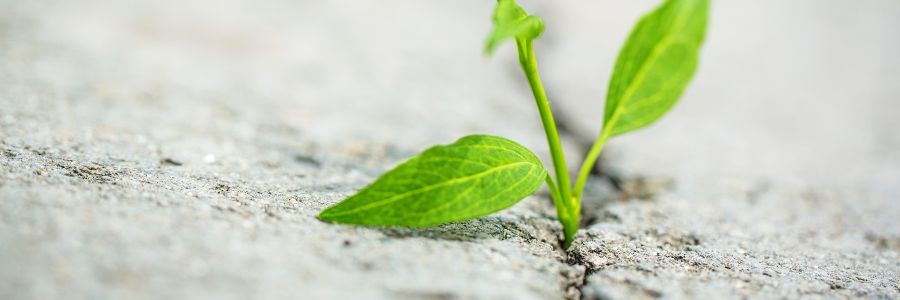 Is There A Link Between ADHD & Object Permanence?