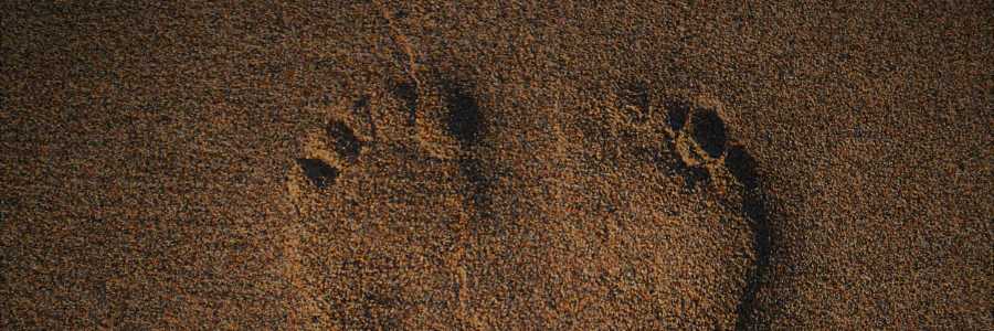 Does reflexology for depression work?