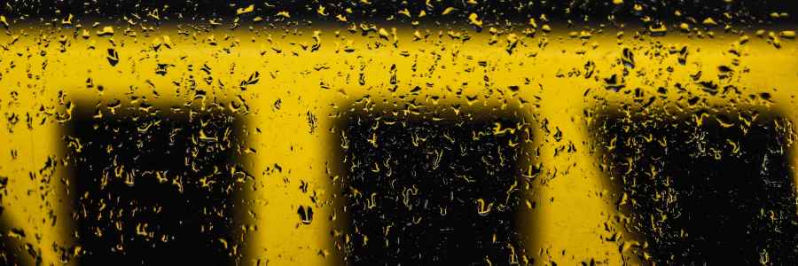 BPD and autism can occur together