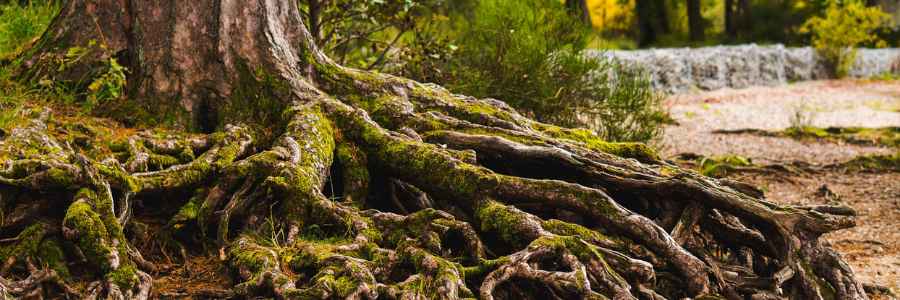 How To Explain Complex PTSD To Someone Who Doesn't Have It