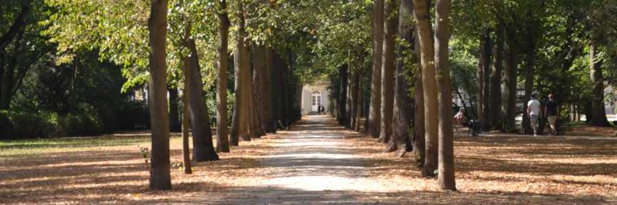 Support for OCD neurodivergence