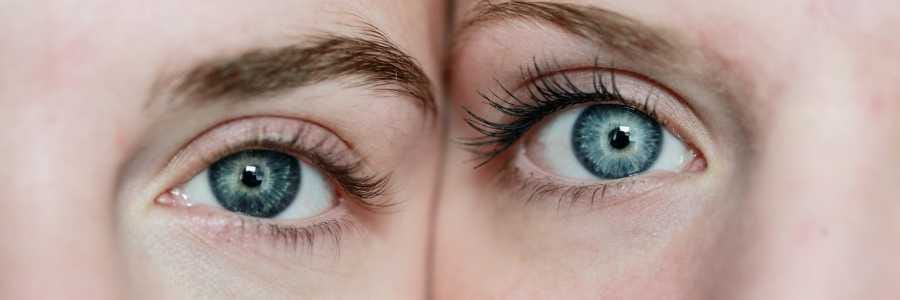 OCD vs Autism similarities