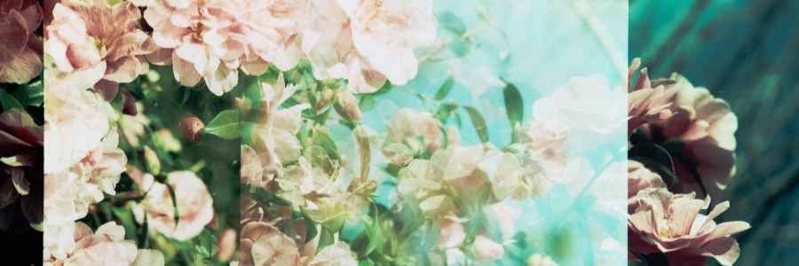 In what ways do autism and bipolar disorder overlap?&nbsp;