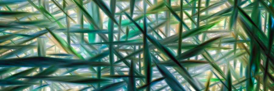 The Overlaps In ADHD And Bipolar Disorder