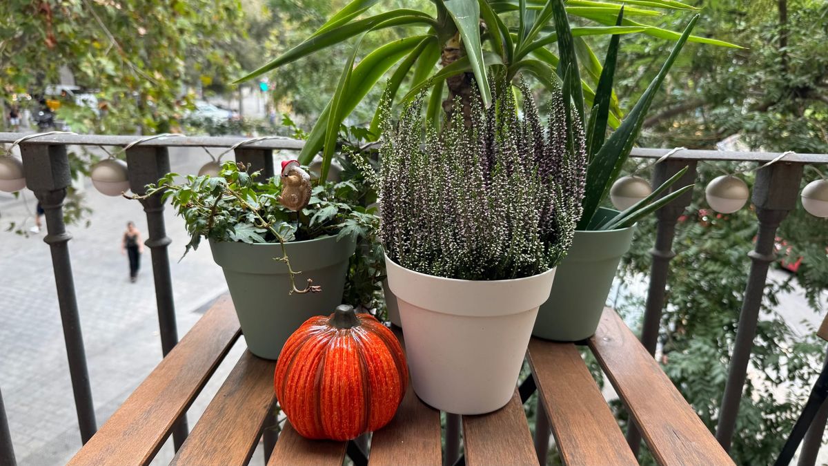 The Autumnization of Barcelona