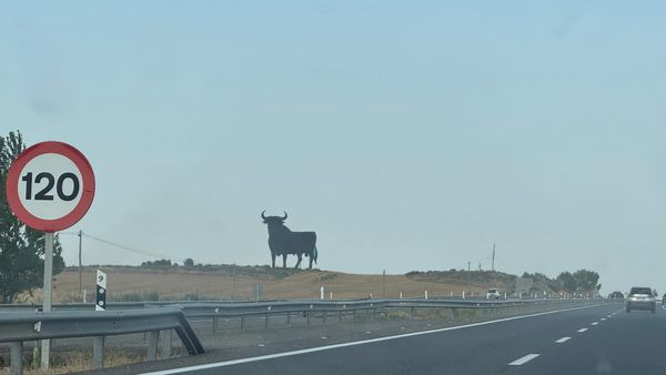 The strange afterlife of Spain's most famous roadside bull