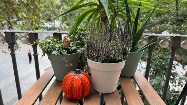 The Autumnization of Barcelona