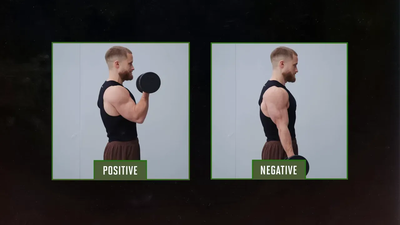 Executing Zapman hammer curl showing grip rotation