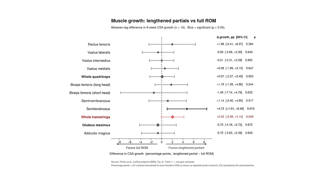 Forest plot comparing muscle growth with lengthened partials and full range of motion
