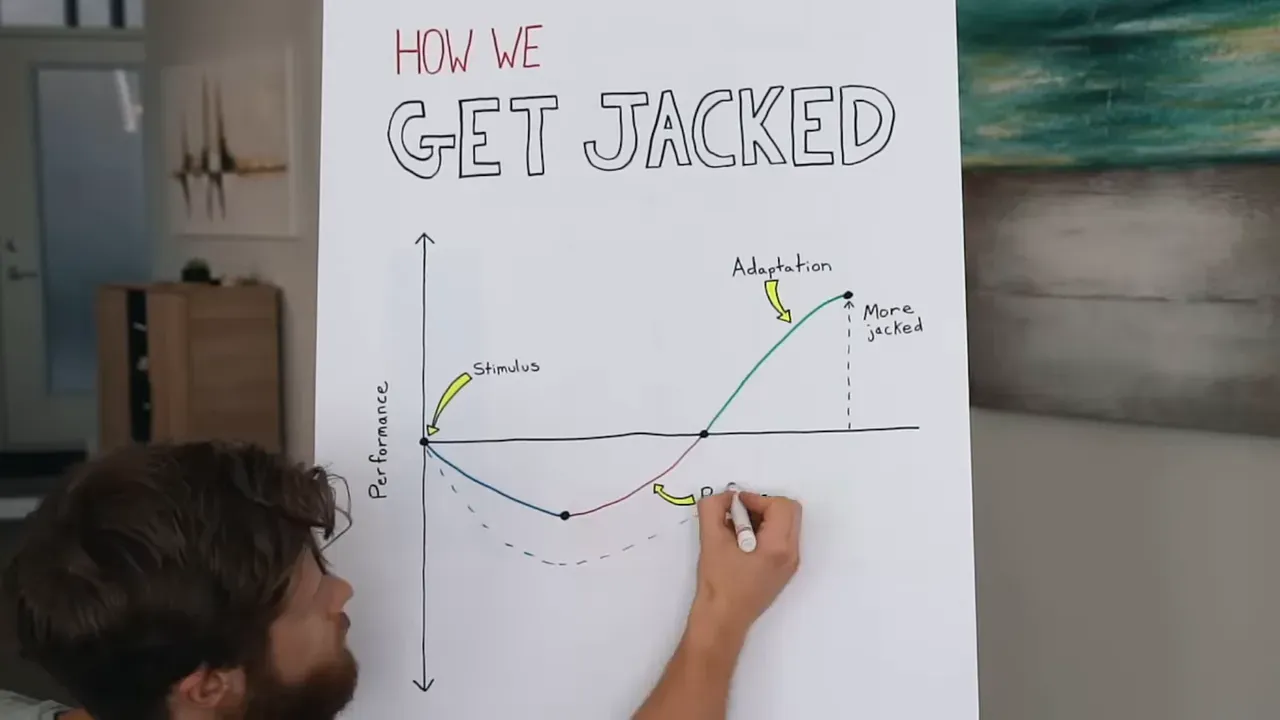 Hand-drawn chart showing stimulus recovery and adaptation curves