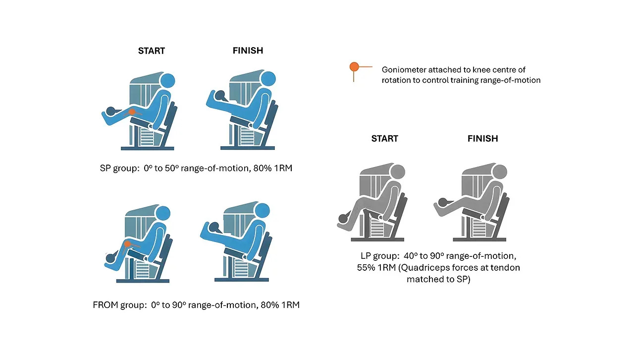 Illustrations showing full range shortened partial and lengthened partial leg extension positions