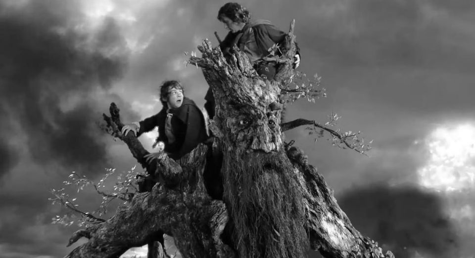 Two Big Celtics Takeaways from the Conference Finals and a Finals Prediction