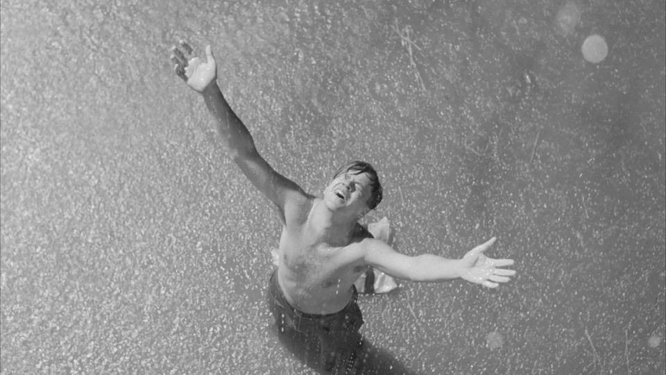 Andy Dufresne crawls through a river of shit and comes out clean on the other side.