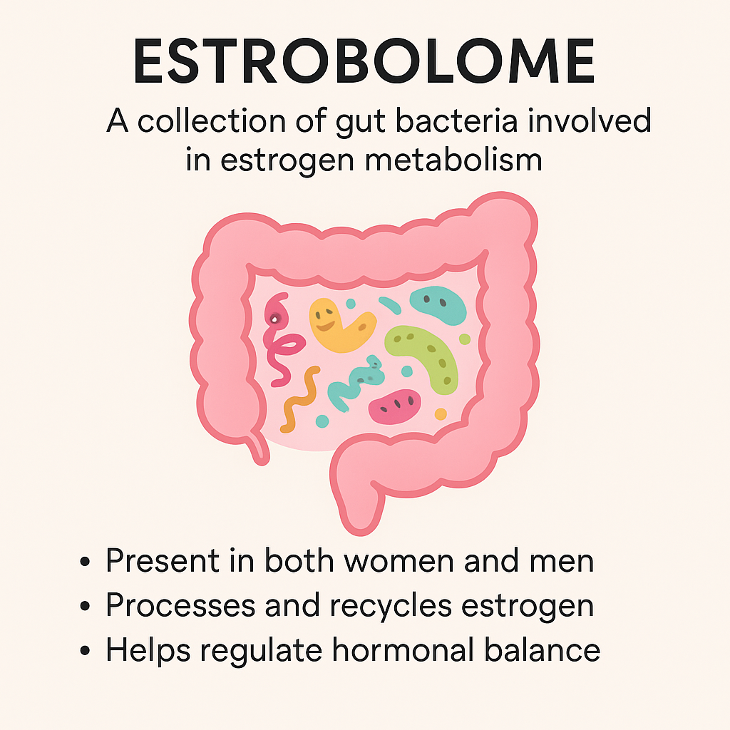 The Gut-Hormone Connection (Yes, Even Post-Menopause and even MEN)