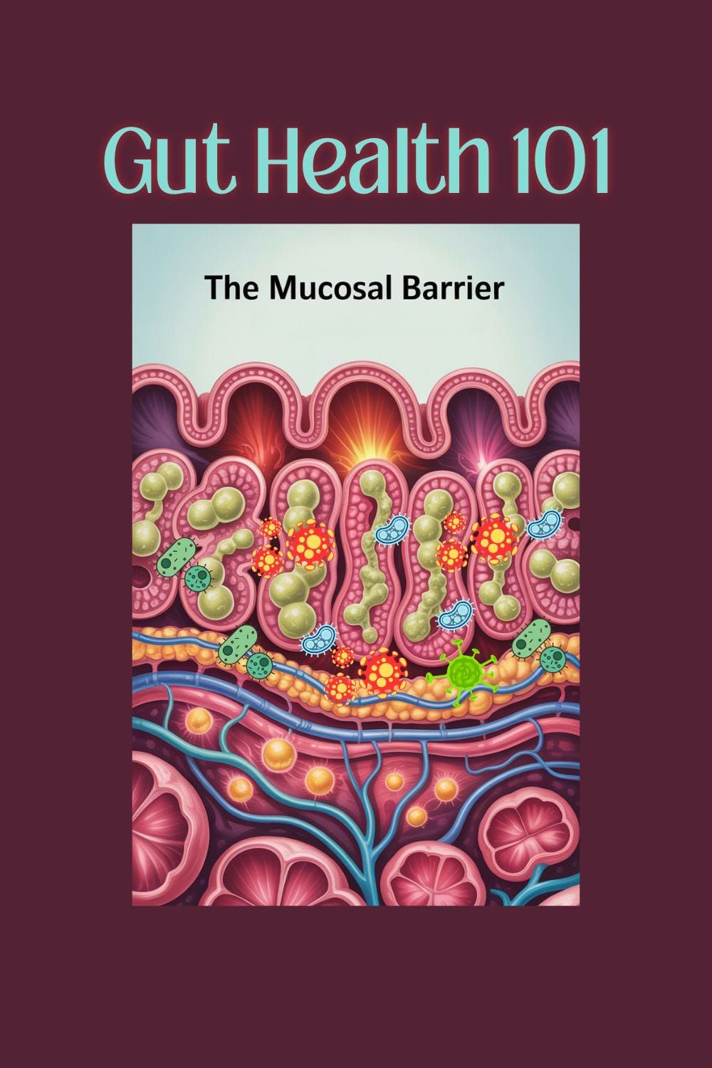 Healing the Mucosal Barrier: The Forgotten Layer of Gut Health