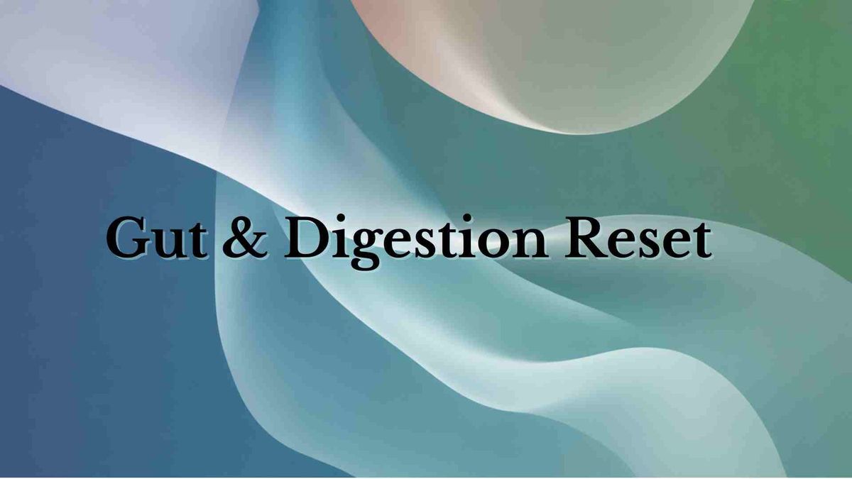 Gut & Digestion Reset