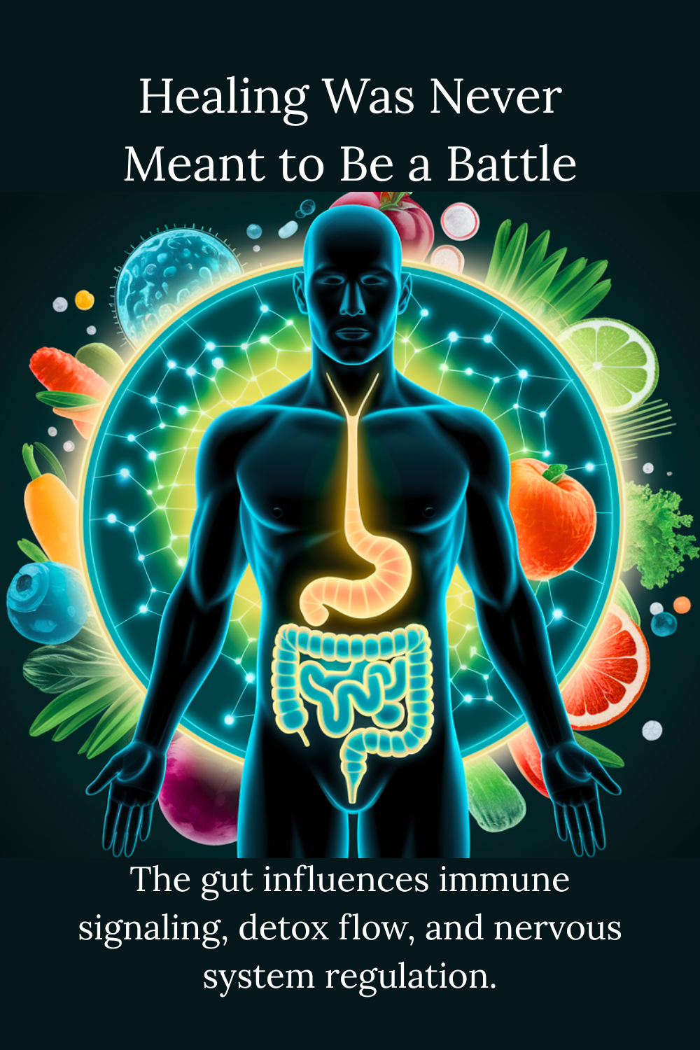 Regulation before repair: how gut health, immune balance, and detox flow work together.