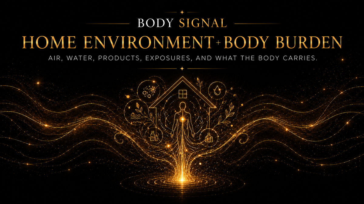 Home Environmental Detox
