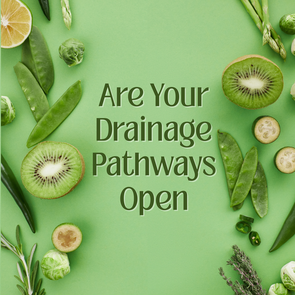 How to Know If Your Drainage Pathways Are Open (Before You Detox Anything)
