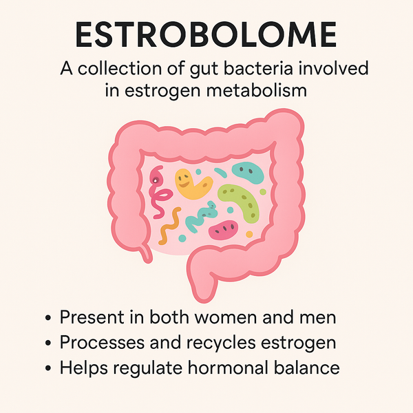 The Gut-Hormone Connection (Yes, Even Post-Menopause and even MEN)