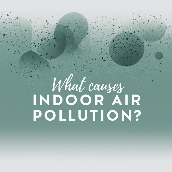 How to Improve Indoor Air Quality at Home: Understanding the Real Sources of Air Pollution