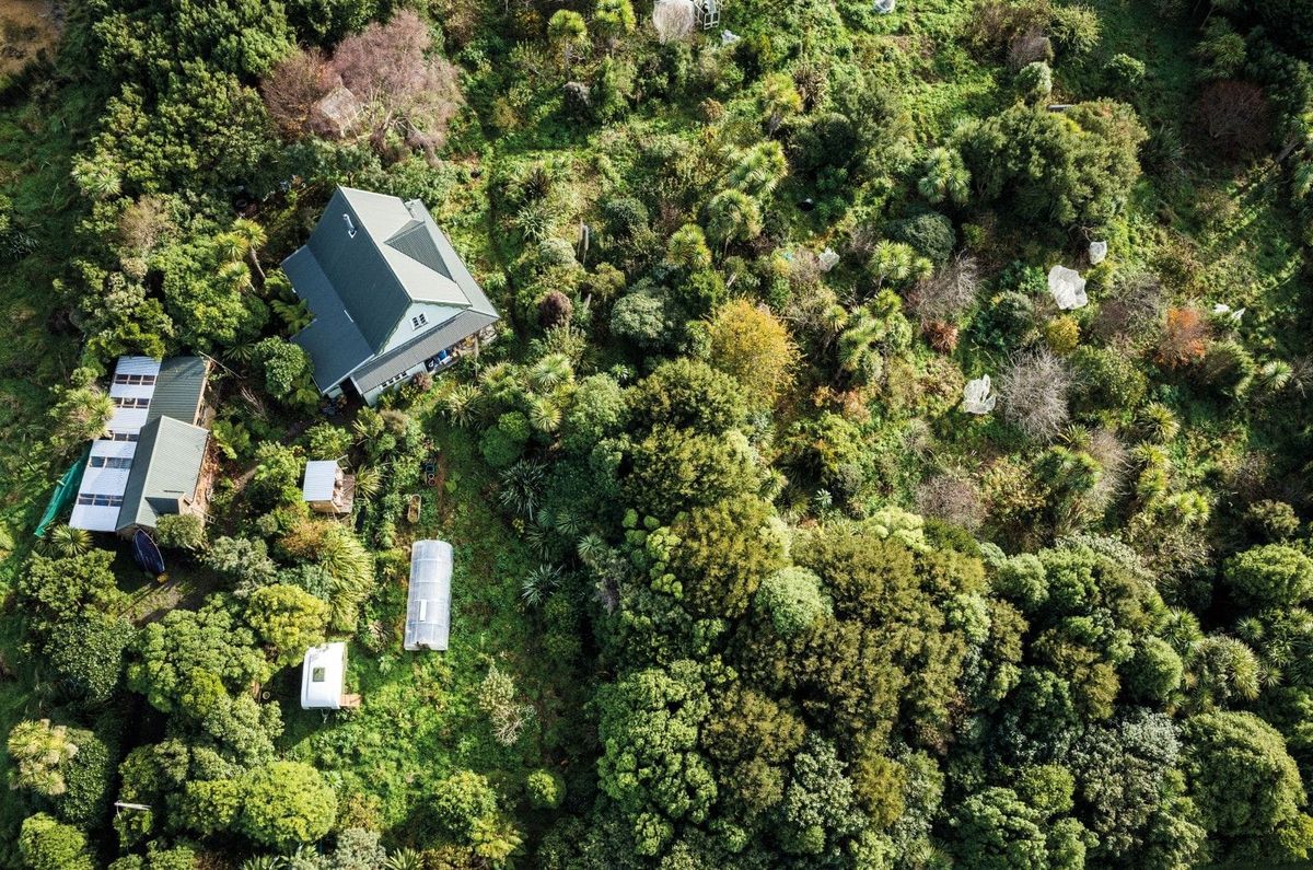 Creating a Food Forest in Perth’s Northern Suburbs