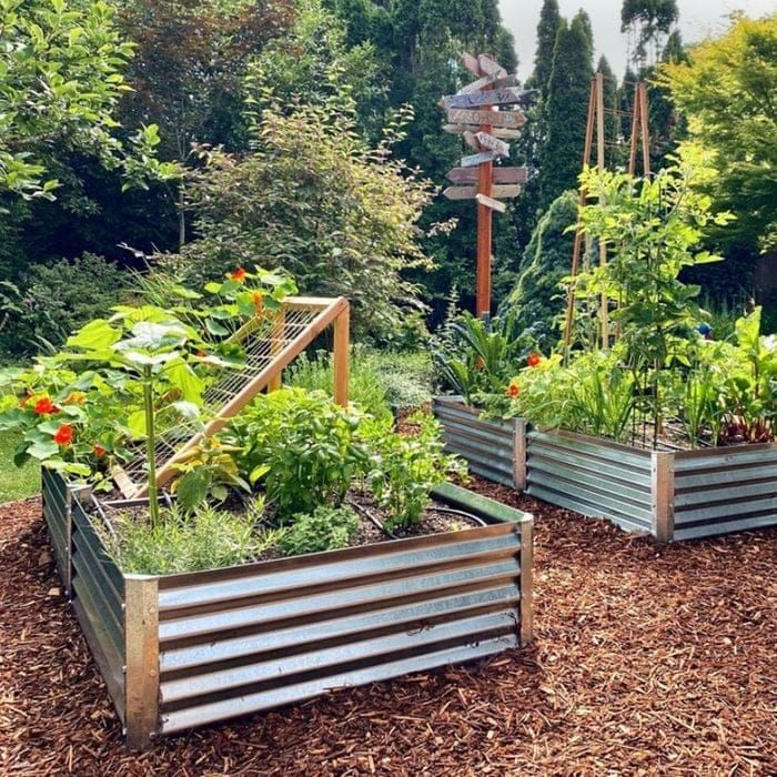 November Gardening Guide for Temperate Australia