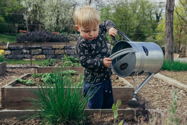 Why Community Gardens May Be The Key To Resilience Building