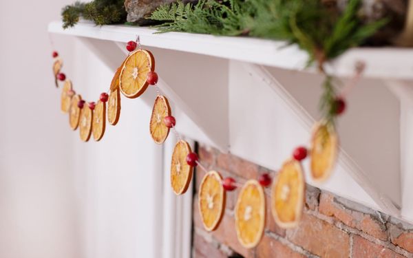 December Gardening Guide for Temperate Australia
