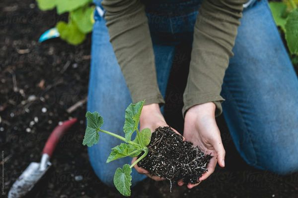 April Gardening Guide for Temperate Climate