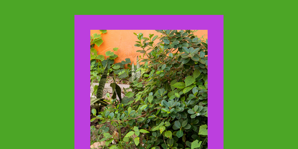 The 2026 High-Performer’s Guide to Ending the Survival Loop