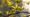 Outbreak Outlook - Midwest - April 15