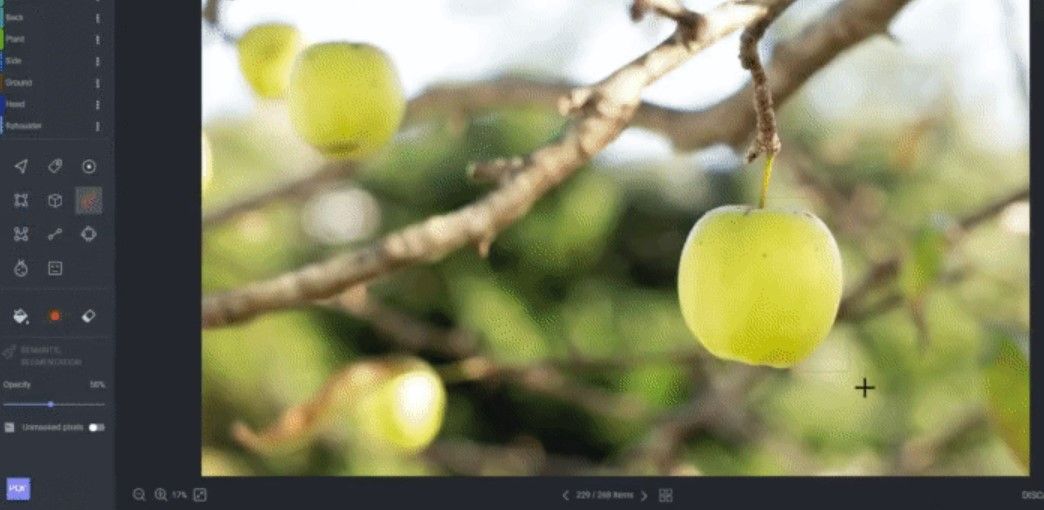 Automatic annotation