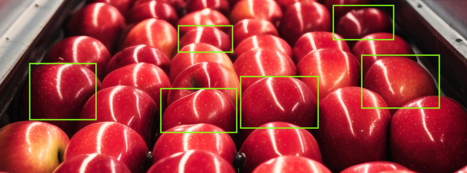 Bounding Boxes