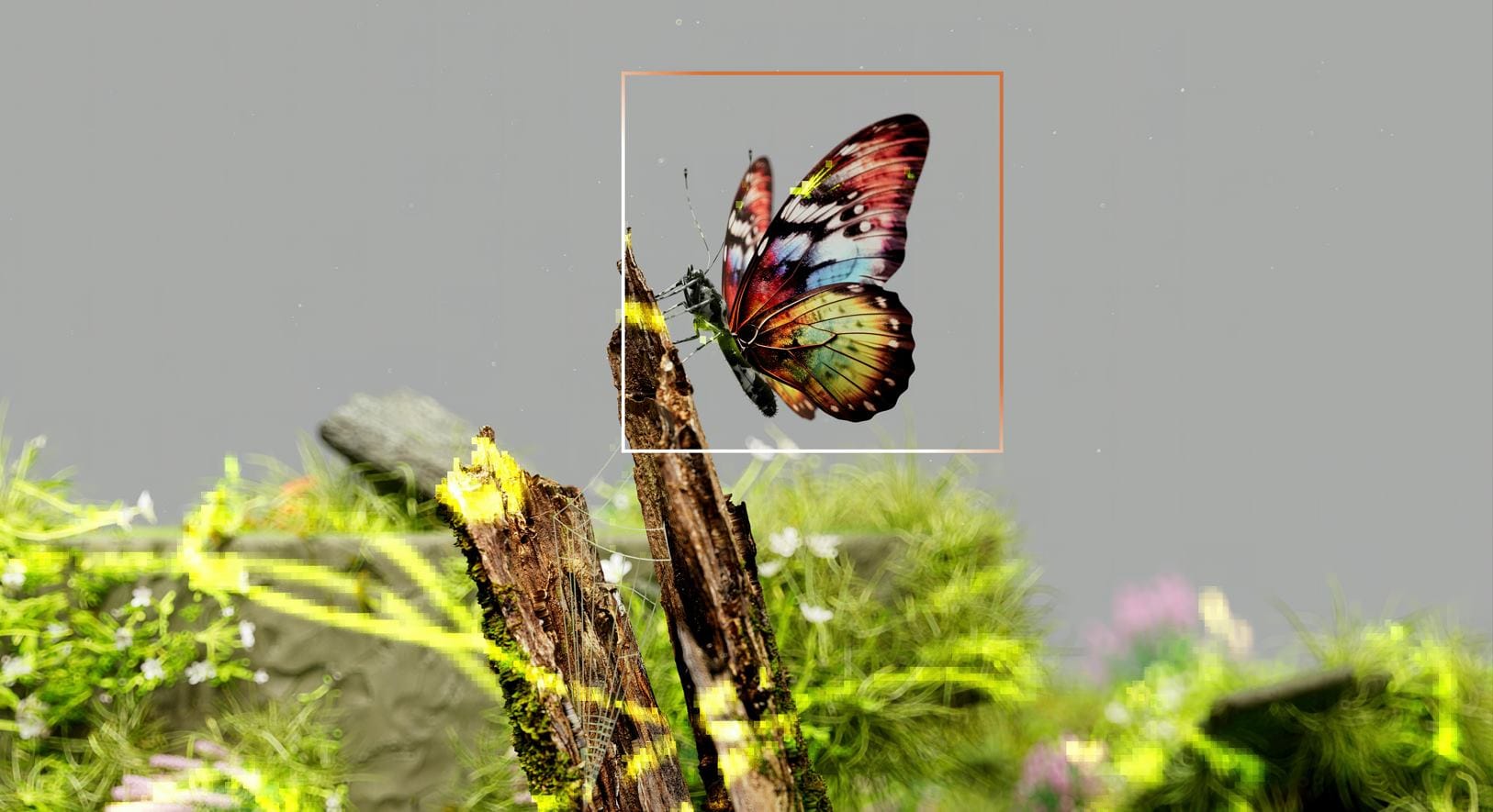 Image Annotation