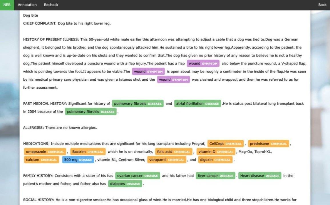 Why Document Annotation is a Game-Changer in Text Processing