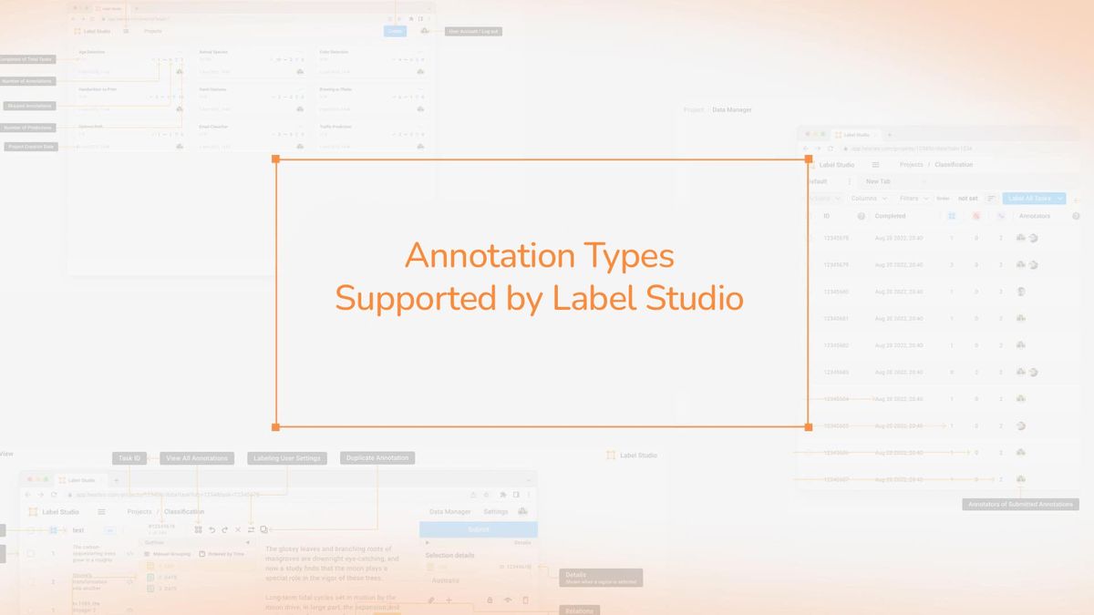 Annotation Types Supported by Label Studio