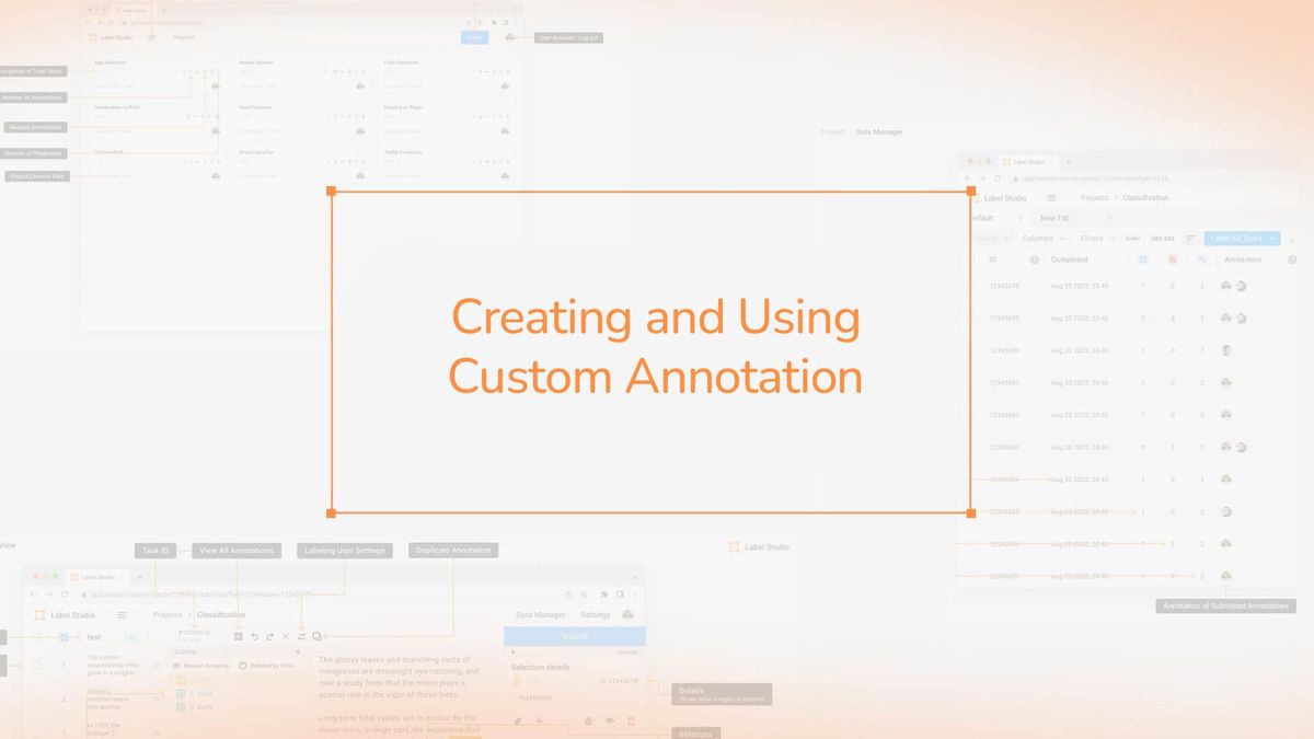 Creating and Using Custom Annotation Templates in Label Studio